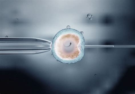 Ima Art Fertility In Vitro Fertilization Explained