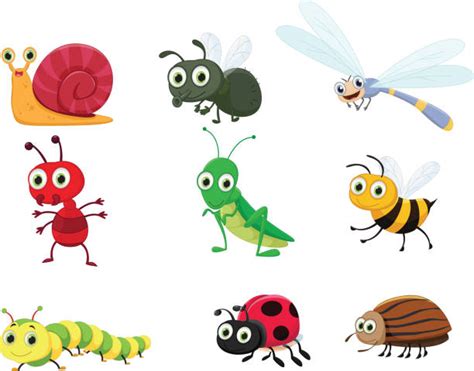 Cartoon Insect Clipart