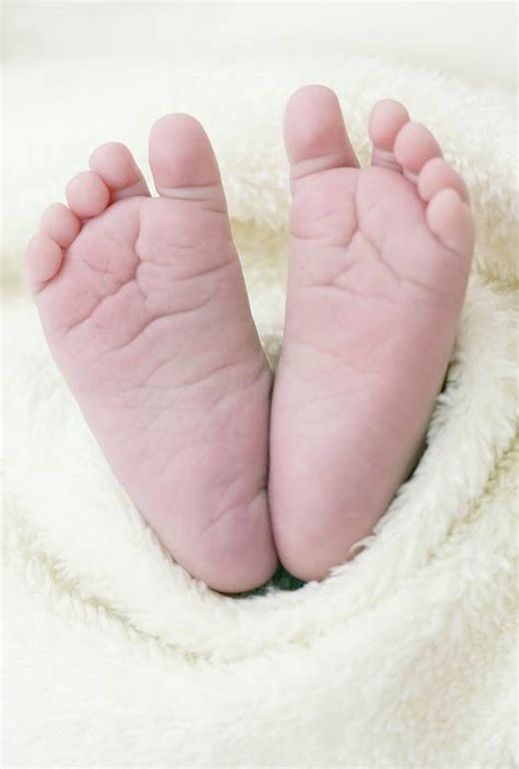 Newborn Babys Feet Photograph By Ian Hootonscience Photo Library