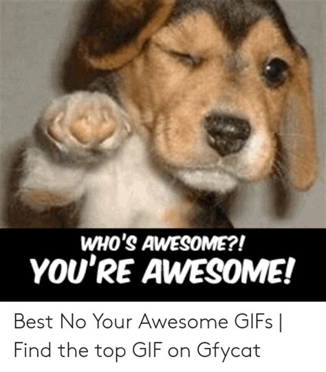 Whos Awesome Youre Awesome Best No Your Awesome S