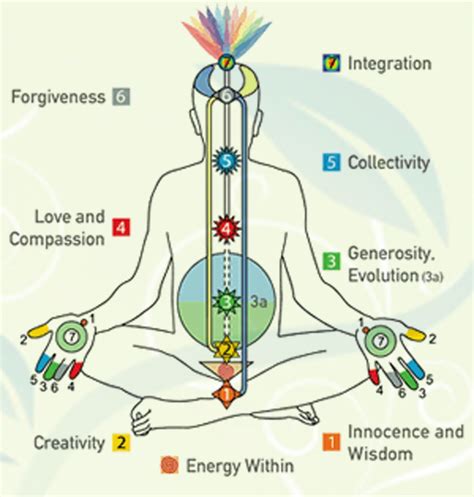 Energy Fields Activation Centers Chakras Energy Fields
