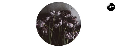 Πίνακας Dark Tulips Entos