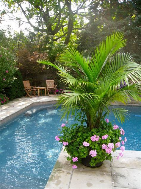 29 Best Pool Area Images On Pinterest Pots Plants And