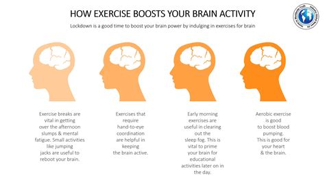 How Exercise Boosts Your Brain Activity Industry Global News