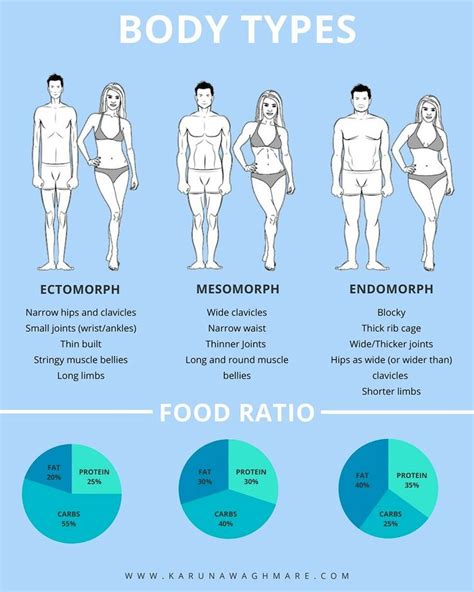 body types and food ratio body type workout endomorph diet body type diet