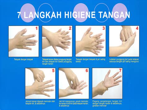 Hasil Gambar Untuk 7 Langkah Cuci Tangan Mencuci Tangan Tangan