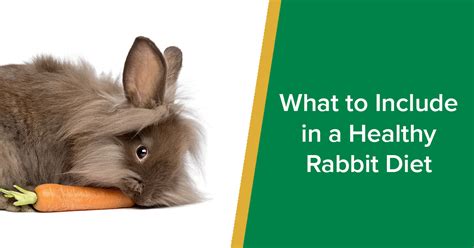 What To Include In A Healthy Rabbit Diet Parkside Vets Pets