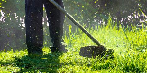 Lawn Care Services Denver Co Mowing Trimming Aeration And More