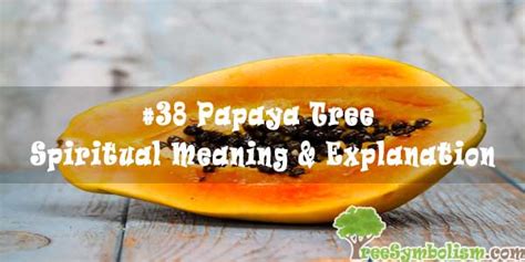 38 Papaya Tree Spiritual Meaning And Explanation