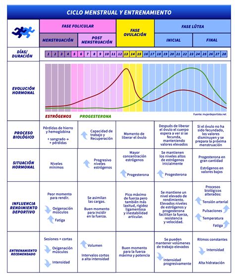 Ciclo Menstrual Y Entrenamiento Behind The Athlete