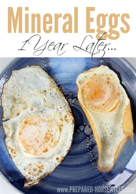 Preserving Eggs With Mineral Oil One Year Later Survival Before