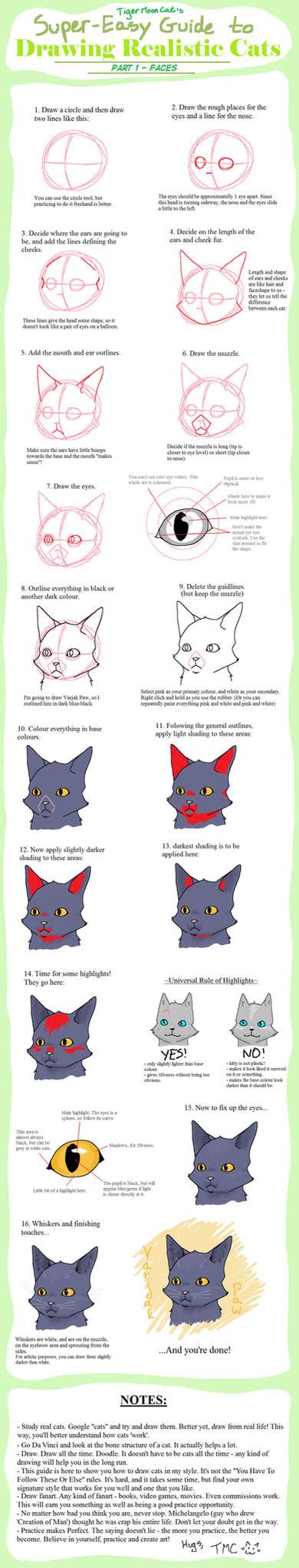 Super Easy Guide To Drawing Realistic Cats Faces By Tigermooncat On