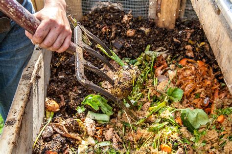 Waste Management How Does The Composting Process Work