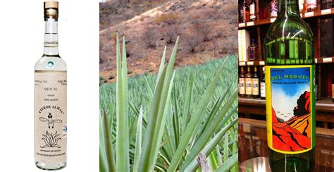 Get To Know 5 Types Of Mezcal Food Republic
