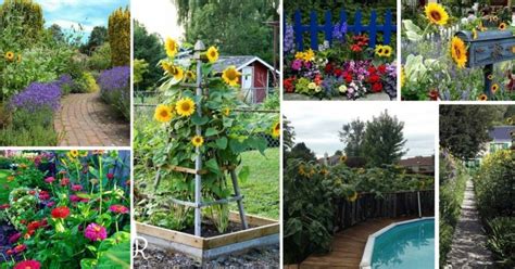 35 Beautiful Sunflower Garden Ideas To Add Happy Vibes To Your Home