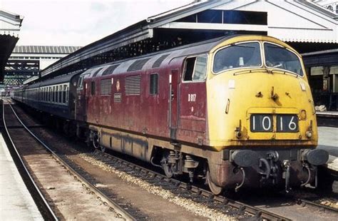 Warship Class 42 Diesel Hydraulic No D817 Foxhound Waits To Depart
