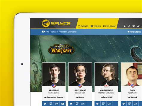 World Of Warcraft Pro Team Page By Dwaiter On Dribbble