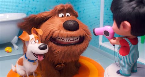 ‘secret Life Of Pets 2 Brings More Of The Cuteness Not The Story