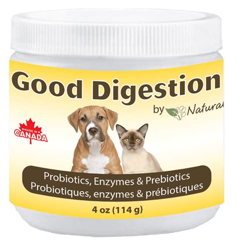 good digestion probiotics digestive enzymes  dogs cats