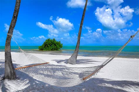 Palm Tree Hammock Beach On Islamorada In Florida Keys Justin Kelefas