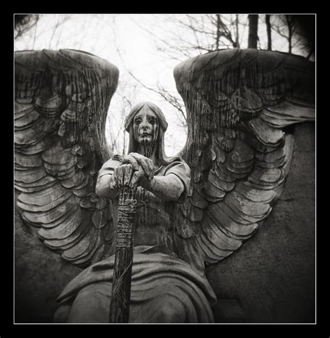 Angels Flickr