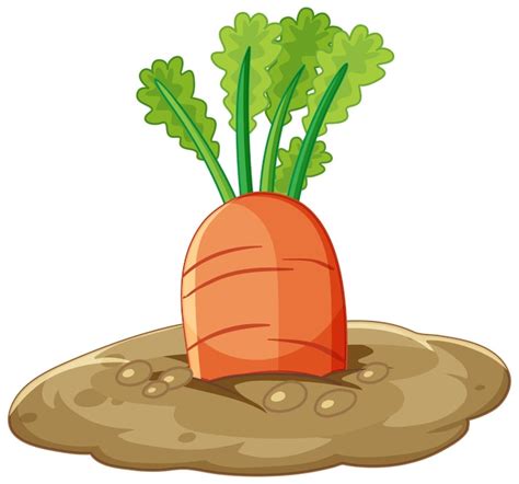 Free Vector Carrot Root In Soil Cartoon Style Isolated