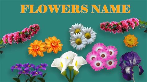 Different Images Of Flowers With Names Gardenpicdesign