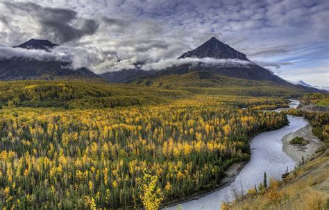 Download Mountain Forest River Nature United States Alaska Landscape Hd