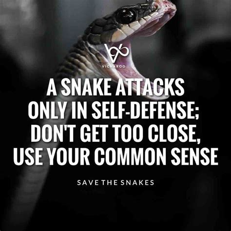 Save Snakes Slogans And Quotes World Snake Day In 2021 Snake Quotes