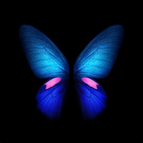 Live wallpapers for download, free wallpapers for android. You can download the Live Wallpapers from the Galaxy Fold ...