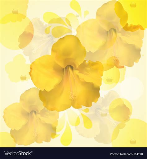 Yellow Hibiscus Flower Background Royalty Free Vector Image