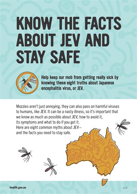 Japanese Encephalitis Virus Jev Know The Facts About Jev And Stay Safe Fact Sheet