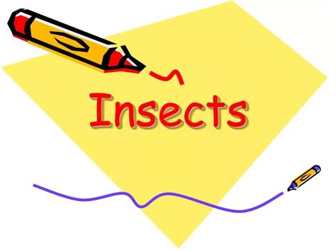 Ppt Insects Powerpoint Presentation Free Download Id1424794