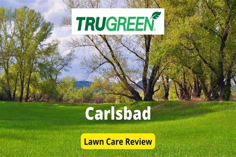 Trugreen Lawn Care In Carlsbad Review Lawnstarter