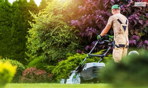 How To Start A Lawn Care Business Business Under