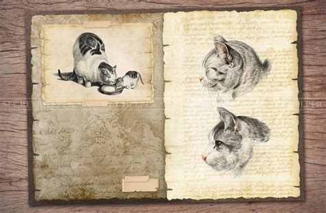 Cats Junk Journal Kit Printable  Pages With Ephemera Etsy