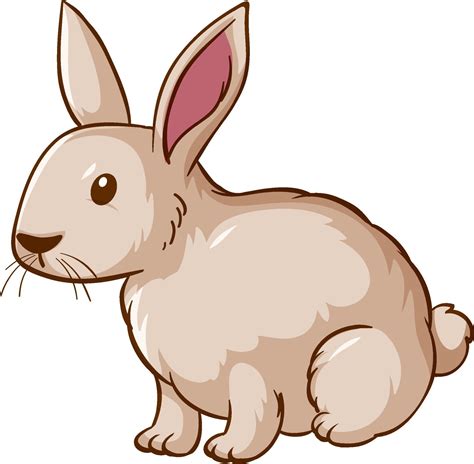 White Rabbit Cartoon On White Background 3252982 Vector Art At Vecteezy