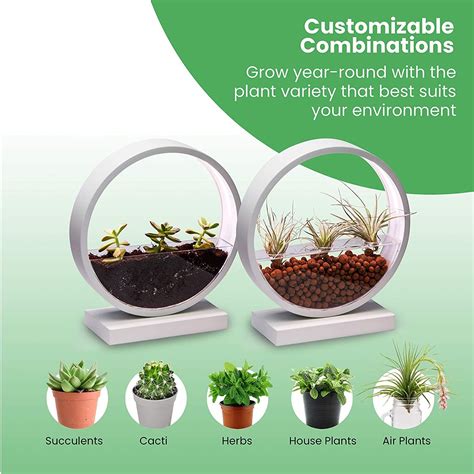Product Of The Week A Beautiful Ring Planter With Grow Lights