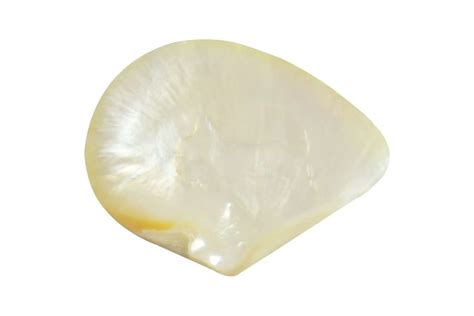 Mother Of Pearl The Only Guide You Need Gemstonist