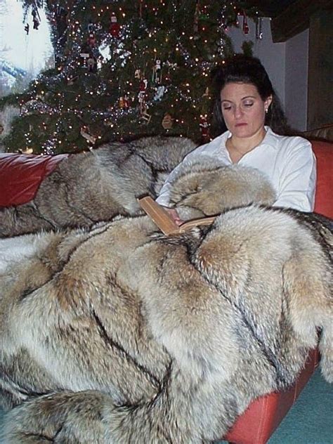 1000 Images About Fur Blanket On Pinterest Coyotes Silver Foxes And
