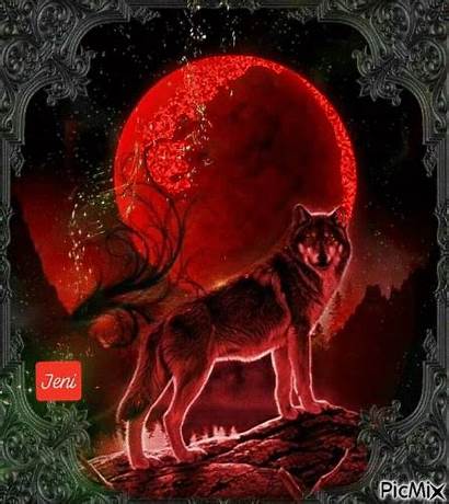 Wolf Howling Picmix Werewolf Cartoon Fantasy Anime