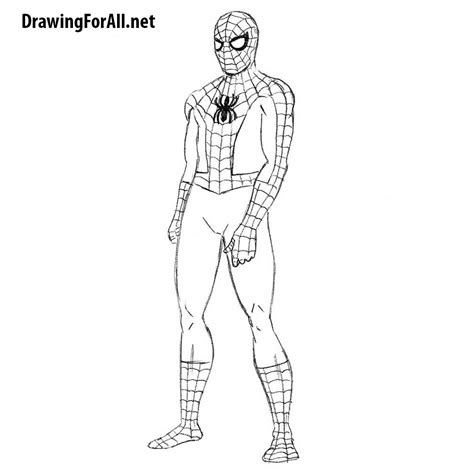 In this tutorial, you will learn how to draw a nice cartoon man created with a vector software. The Easiest Way to Draw Spider-Man | Drawingforall.net