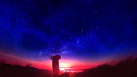 Anime Girl In Field Silhouette Sunset Hd Anime 4k