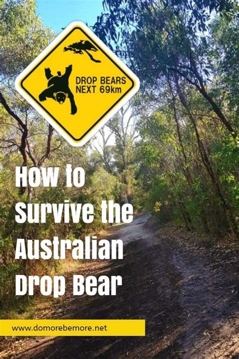How To Survive The Australian Drop Bear Drop Bear Deadly Animals