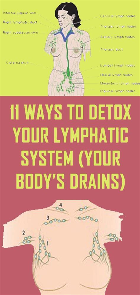 Natural Lymphatic System Detox Remedies To Help Your Body Cancer