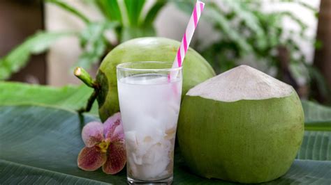 5 Convincing Reasons Why Coconut Water Is A Must Have Every Day Newsdeal