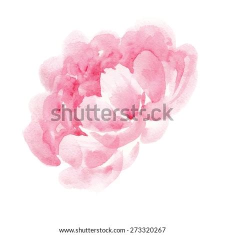 Watercolor Peony Stock Images Royalty Free Images Vectors Shutterstock