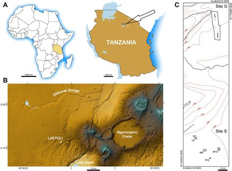 New Footprints From Laetoli Tanzania Provide Evidence For Marked Body