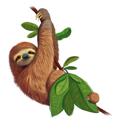 Register Now Three Toed Sloth Clip Art Library
