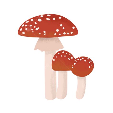 Autumn Mushrooms Mushrooms Amanita Muscaria Autumn Png Transparent